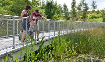 two adults and a child standing on a bridge looking over the marsh area at Corktown Common