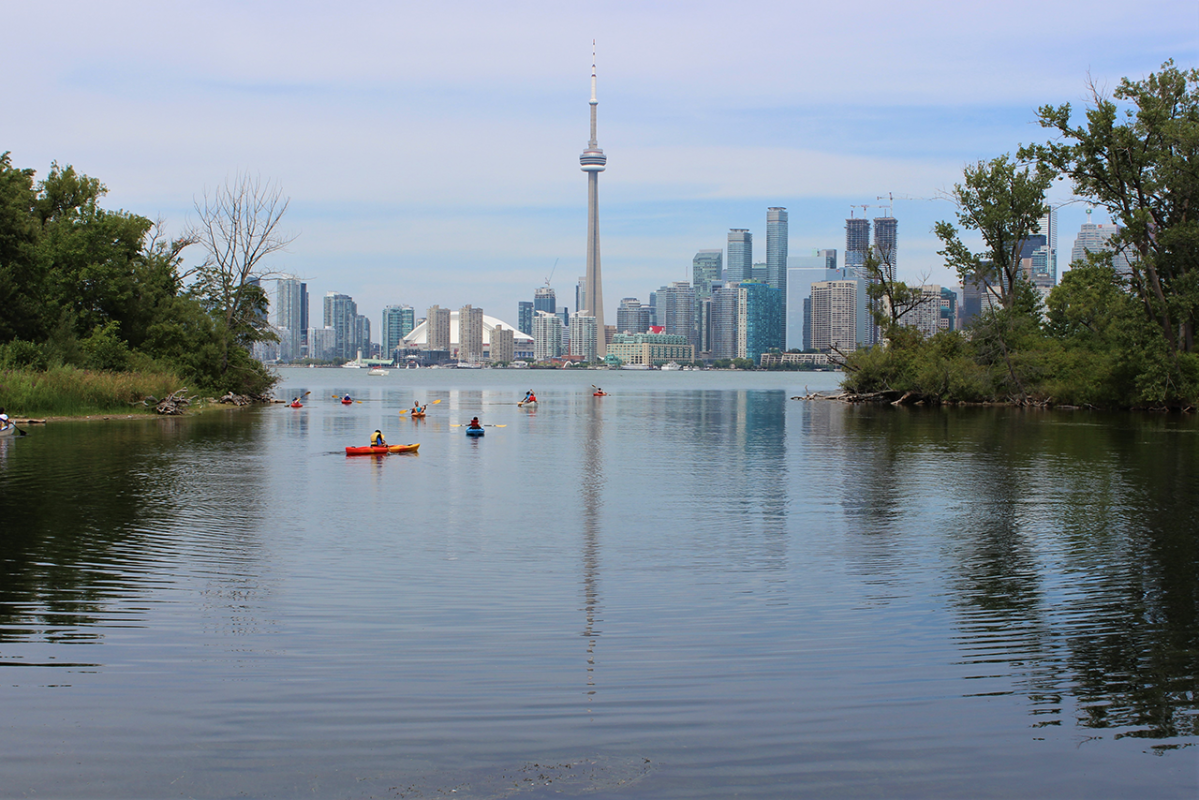 kayakers in Lake Ontario with CN Tower in background