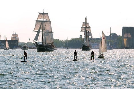stand up paddlers and sail boats in the Inner Harbour of Lake Ontario