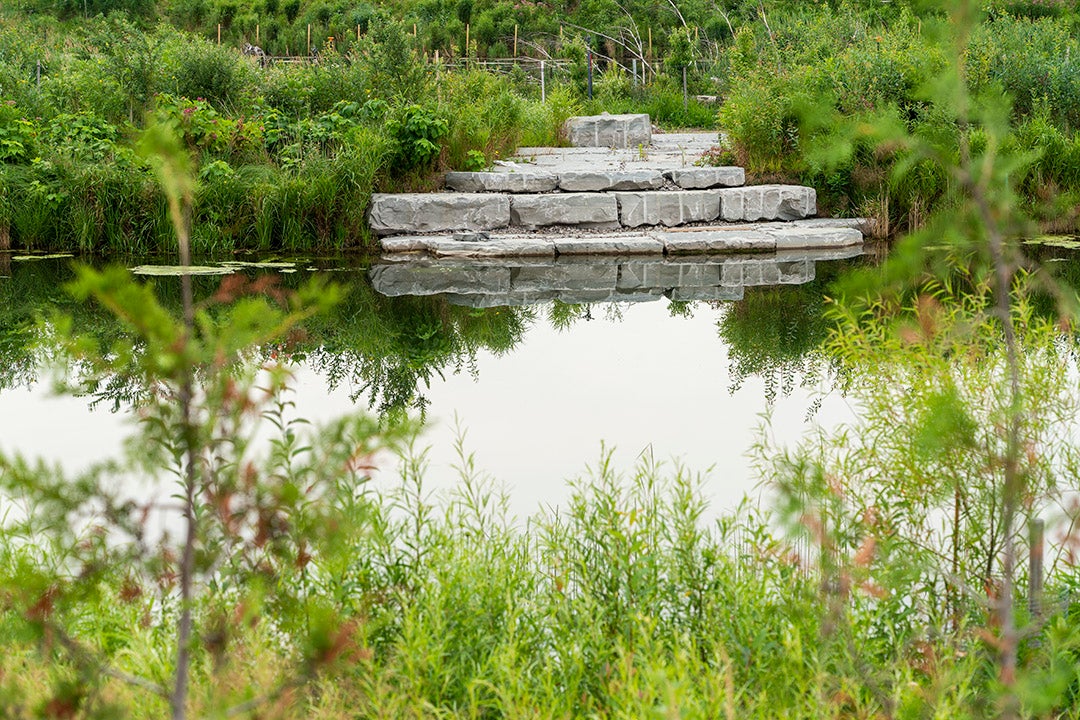 Lakeview surrounded by greenery and water body in the middle.  