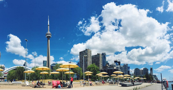 Beach goers meld into the central waterfront scene set against the iconic downtown skyline. 