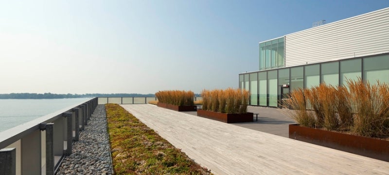 Green Roof Terrace at George Brown College's Waterfront Campus.
