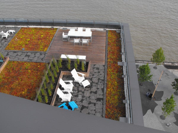 Green roof terrace at Corus Quay. Image Credit: @wobuilt on Twitter / Twitpic