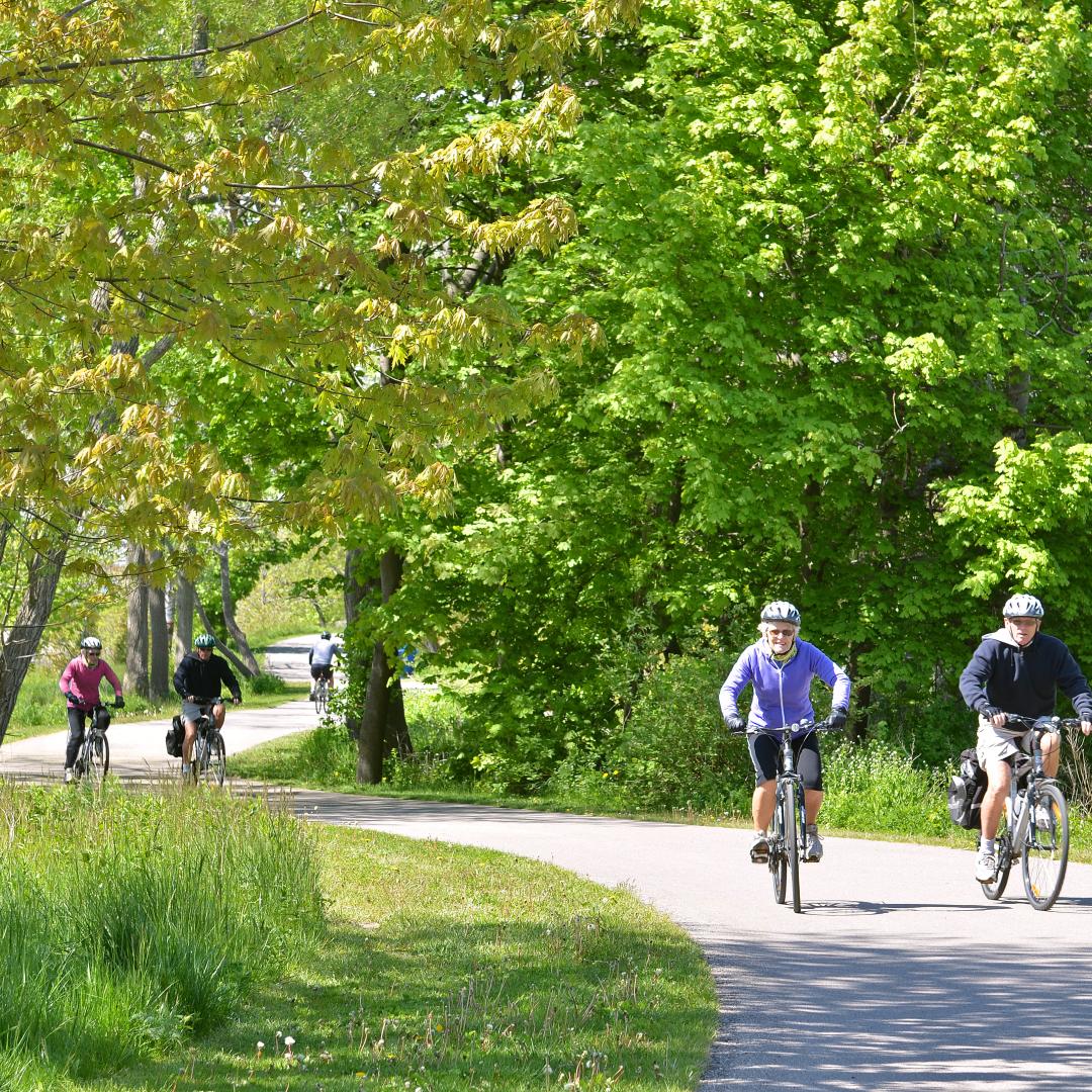 cyclists on a tree lined bike trail