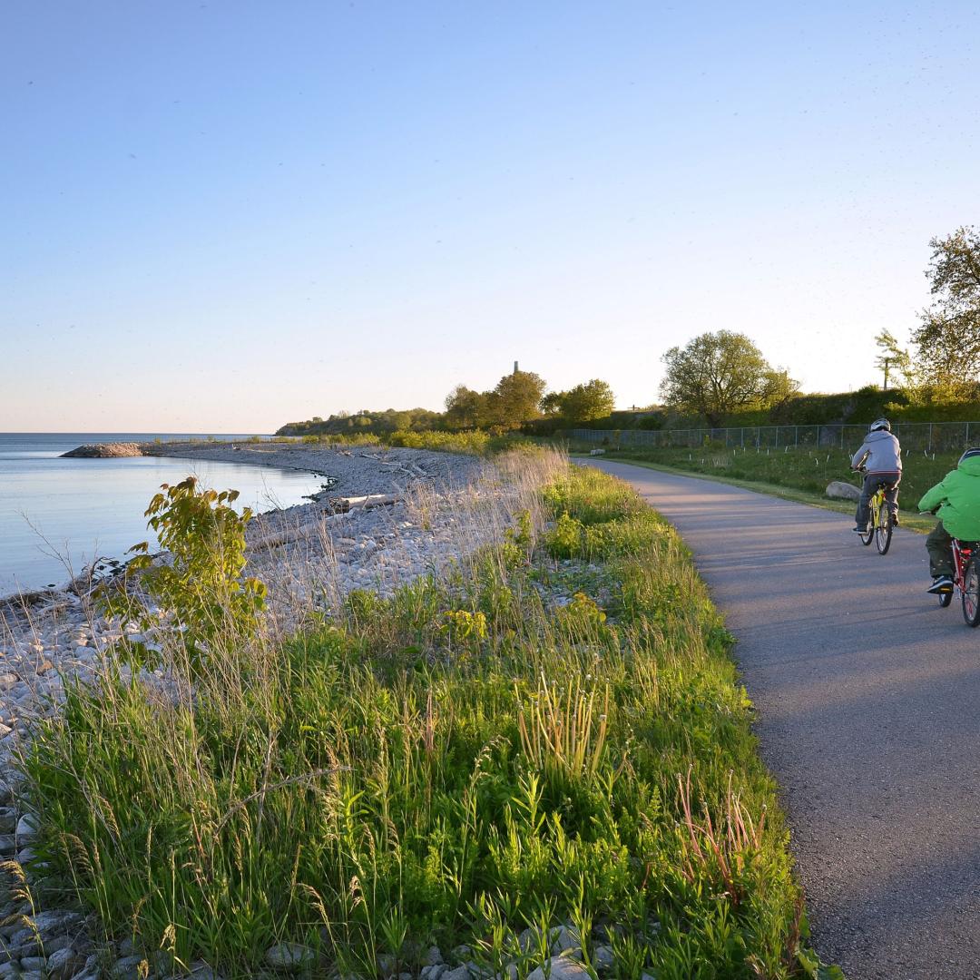 cyclists on a waterfront trail next to a cobblestone beach