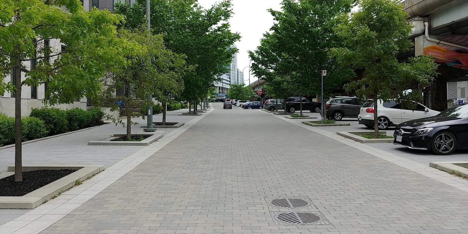 a photo showing a street with the road, sidewalk and trees