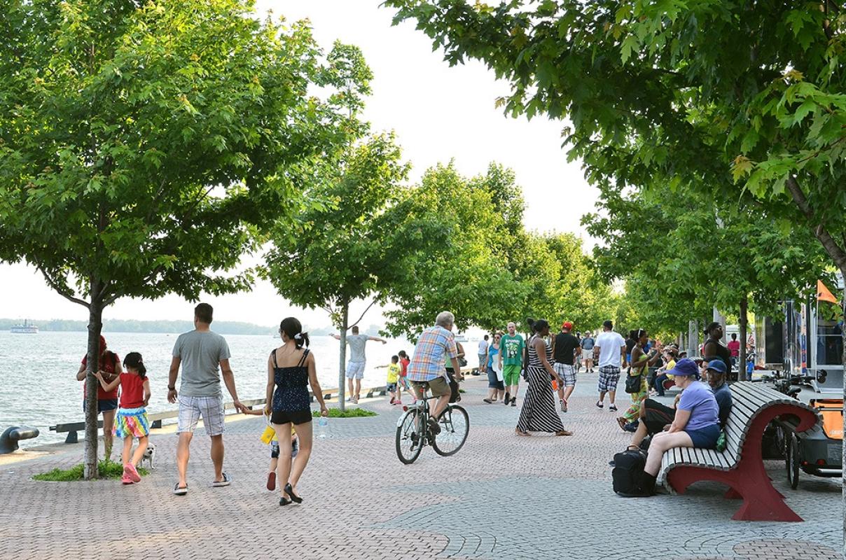 people strolling, cycling and sitting along a tree-lined water's edge