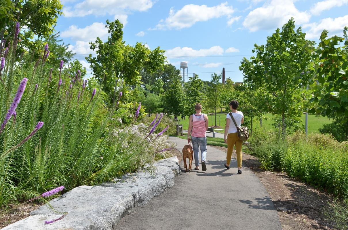 Two individuals and a dog walking away together through a trail. 