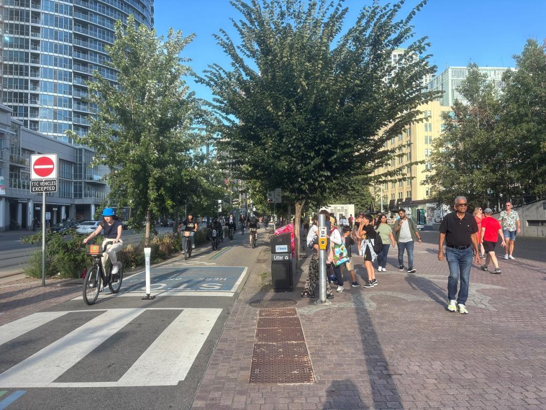 Photograph of street with building in the background and trees in the middle. Cyclist passing through the cyclists lane on the left and pedestrian on the right.