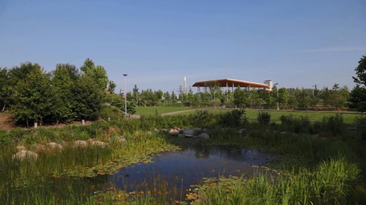 A view of Corktown Common`s marsh area with the central lawn and the pavilion in the distance.