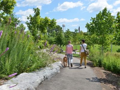 Two individuals and a dog walking away together through a trail. 