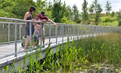 two adults and a child standing on a bridge looking over the marsh area at Corktown Common