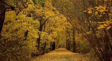 One of our favourite linear parks, the Toronto Beltline Trail